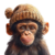 ApeWifHat