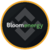Bloom Energy (bStocks Tokenized Stock)