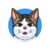 Bobby The Cat