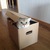 Boxed Cat