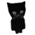 Bro the cat