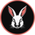 CashBunny