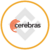 Cerebras (bStocks Tokenized Stock)