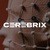 Cerebrix AI