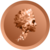 Divo