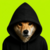 Dog In Hood