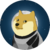 DOGE-1