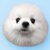 Durovs Dog