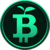 Green Bitcoin