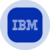 IBM (Ondo Tokenized Stock)
