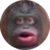 Monkecoin