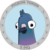 PigeonToken