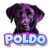 Poldo