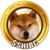 Shiba Classic