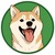 The Most Expensive Shiba Inu