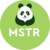 TWIN ASSET TOKEN MSTR